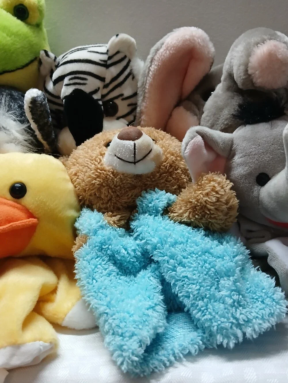 N/A several animal